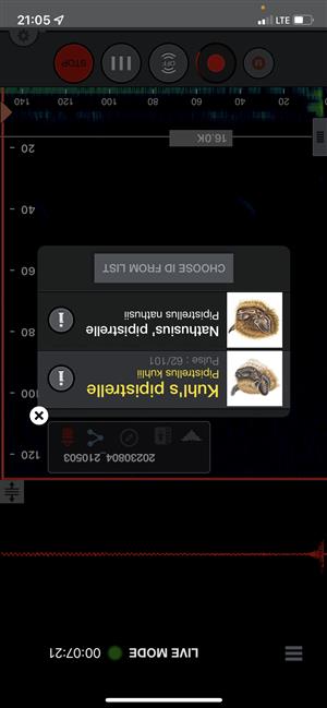 Pkuh/nat na detektore
