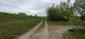 trasochvost biely (14.5.2023)