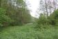 brhlík lesný (obyčajný) (27.5.2023)