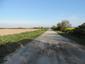 Sýkorka veľká ( bielolíca) (28.5.2023)