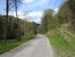 Pinka lesná (27.5.2023)