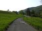trasochvost biely (27.5.2023)