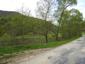 trasochvost biely (27.5.2023)