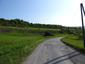 Sýkorka veľká ( bielolíca) (27.5.2023)