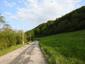 Žltochvost lesný ( hôrny) (27.5.2023)