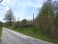 brhlík lesný (obyčajný) (27.5.2023)
