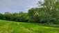 trasochvost biely (14.5.2023)