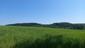 trasochvost žltý (14.5.2023)