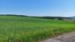 Sýkorka čiernohlavá (14.5.2023)