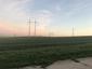 Kôrovník dlhoprstý (1.5.2023)