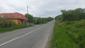 Pinka lesná (28.5.2023)