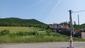 Sýkorka čiernohlavá (28.5.2023)