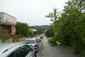 glezg hrubozobý ( obyčajný) (13.5.2023)