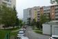 Lastovička domová (13.5.2023)
