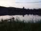 bučiačik močiarny (19.5.2023)