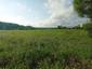 močiarnica mekotavá (12.7.2023)
