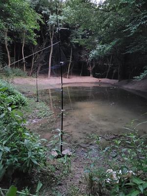 Miesto odchytu, Kráľová studnička, 14.07.2023
