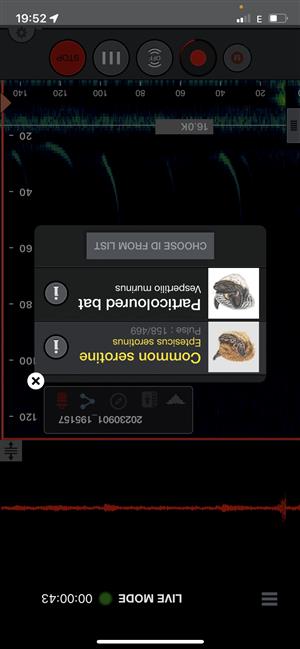 Eser na detektore