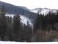 sova lesná (obyčajná) (22.3.2023)