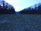 sova lesná (obyčajná) (13.4.2023)