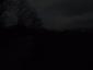 sova lesná (obyčajná) (29.3.2023)