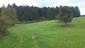 sova lesná (obyčajná) (21.4.2023)