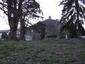 sova lesná (obyčajná) (26.3.2023)