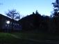 sova lesná (obyčajná) (26.3.2023)