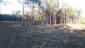 sova lesná (obyčajná) (23.4.2023)
