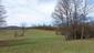 sova lesná (obyčajná) (3.4.2023)