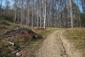 sova dlhochvostá (15.3.2023)