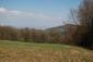 sova lesná (obyčajná) (13.4.2023)