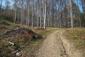 sova dlhochvostá (13.4.2023)
