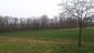 sova lesná (obyčajná) (30.4.2023)