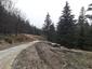 sova dlhochvostá (15.3.2023)