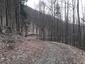kuvičok vrabčí (12.4.2023)