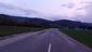 sova lesná (obyčajná) (15.4.2023)