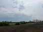 bučiačik močiarny (21.4.2023)
