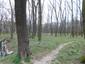 sova lesná (obyčajná) (23.3.2023)
