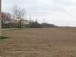 sova lesná (obyčajná) (23.3.2023)
