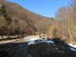 sova lesná (obyčajná) (5.4.2023)