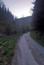 sova lesná (obyčajná) (16.4.2023)