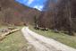 sova dlhochvostá (28.4.2023)