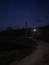 sova lesná (obyčajná) (28.3.2023)