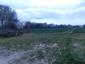 sova lesná (obyčajná) (22.4.2023)