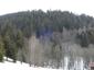 sova dlhochvostá (7.3.2023)