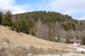 sova lesná (obyčajná) (25.3.2023)