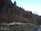 sova lesná (obyčajná) (20.3.2023)