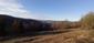 sova lesná (obyčajná) (31.3.2023)