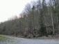 sova lesná (obyčajná) (4.3.2023)